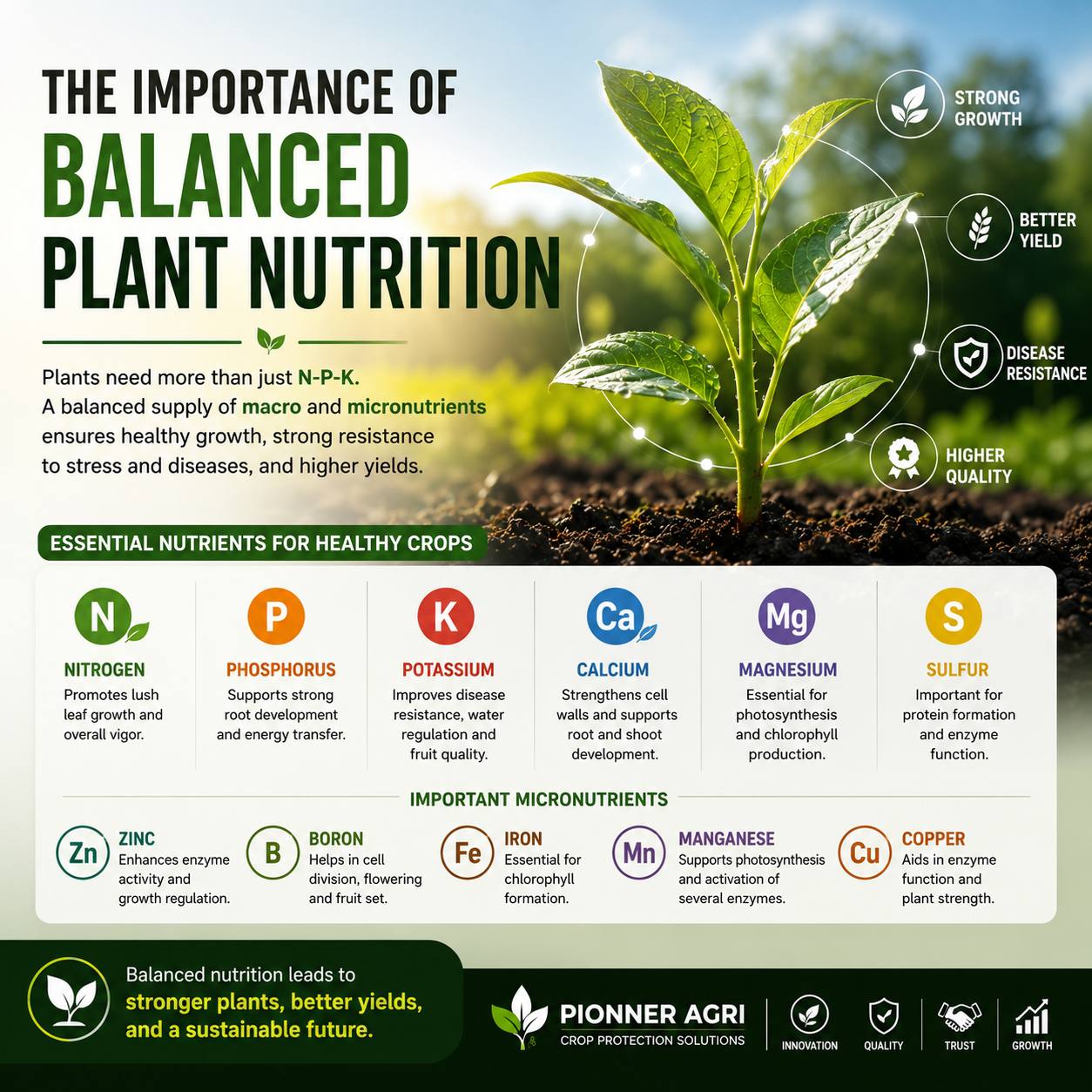 The Importance of Balanced Plant Nutrition